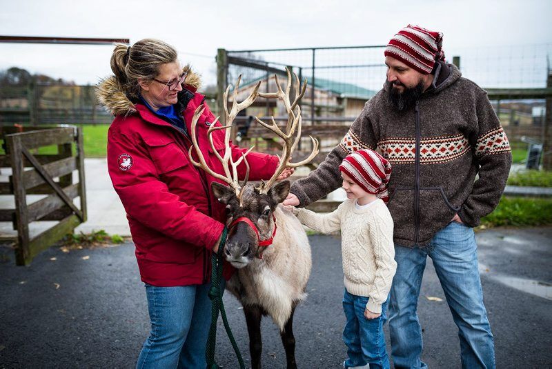 LF20210417-hoover2-reindeer.jpg